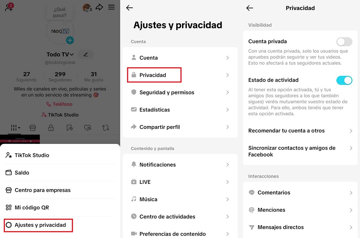 tiktok privacidad